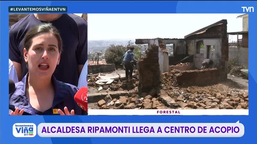 Alcaldesa de Viña del Mar: Vamos a levantar las zonas siniestradas
