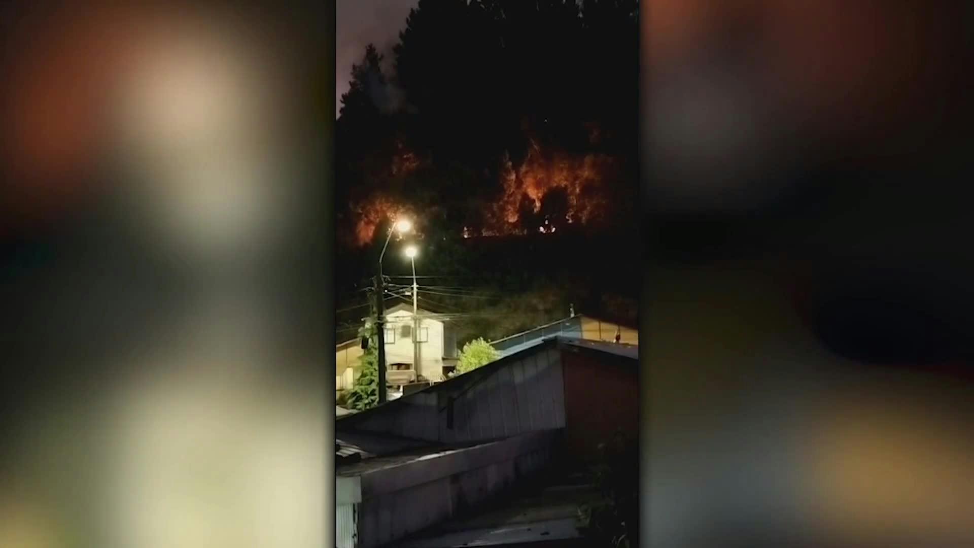 Chiguayante y Laja registraron incendios forestales