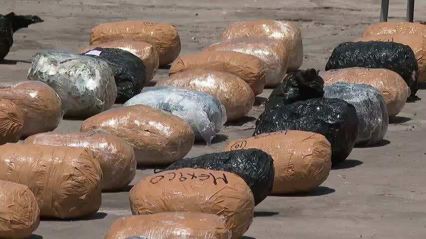 Carabineros realiza millonarios decomisos de droga