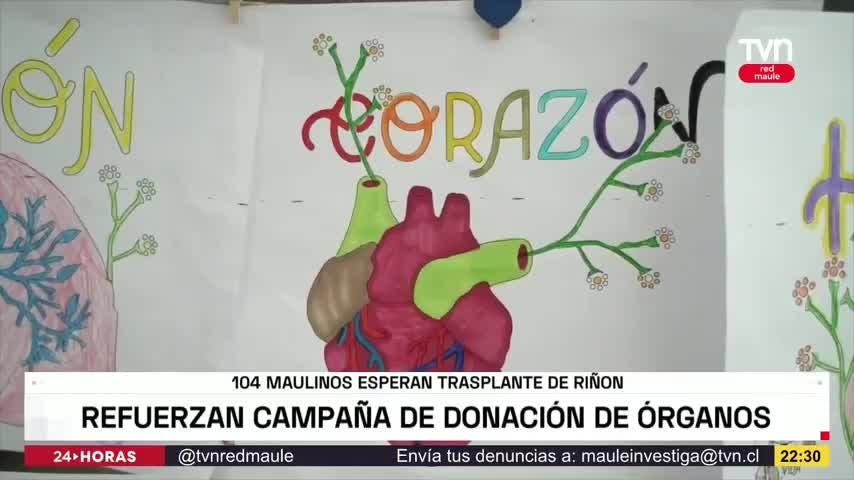 Llaman a conversar en familia la donación de órganos