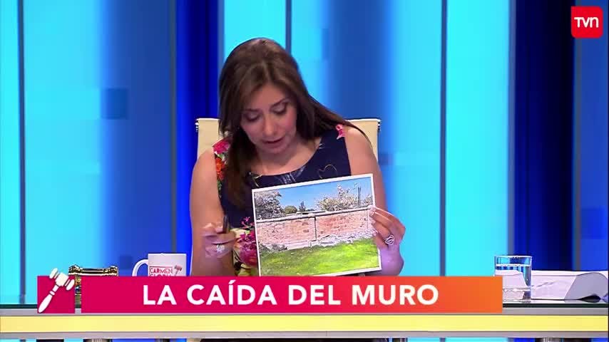 La caída del muro | Carmen Gloria a tu servicio