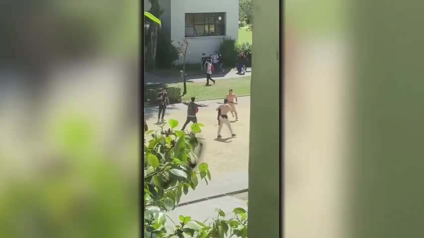 Investigan bandas delictuales que operarían dentro de la UdeC