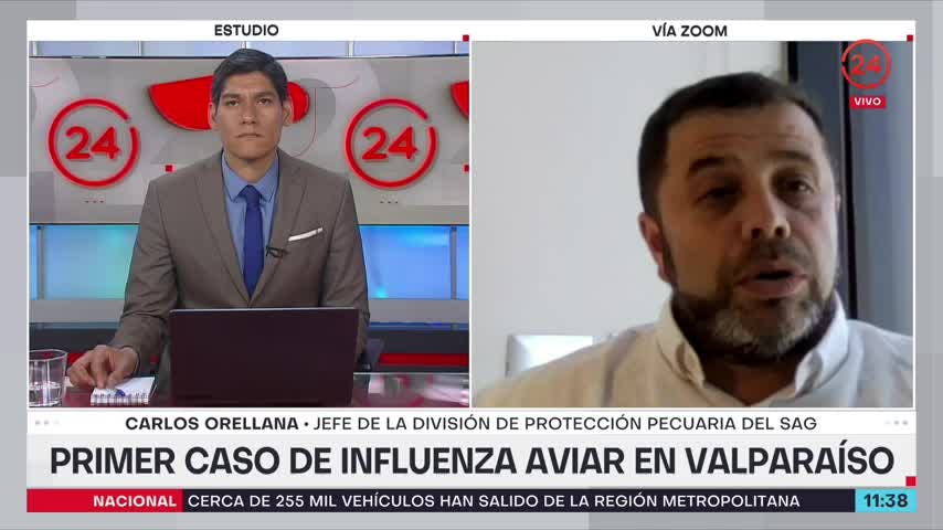 Jefe de la División de Protección Pecuaria del SAG se refiere a casos de influenza aviar