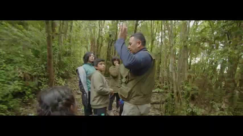 La Isla Grande de Flo | Capítulo 1: Los Williche