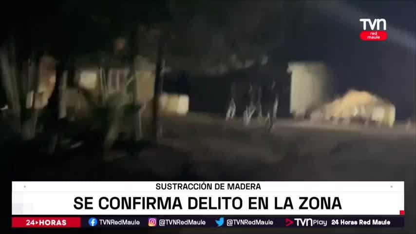 Se confirma robo de madera en el Maule