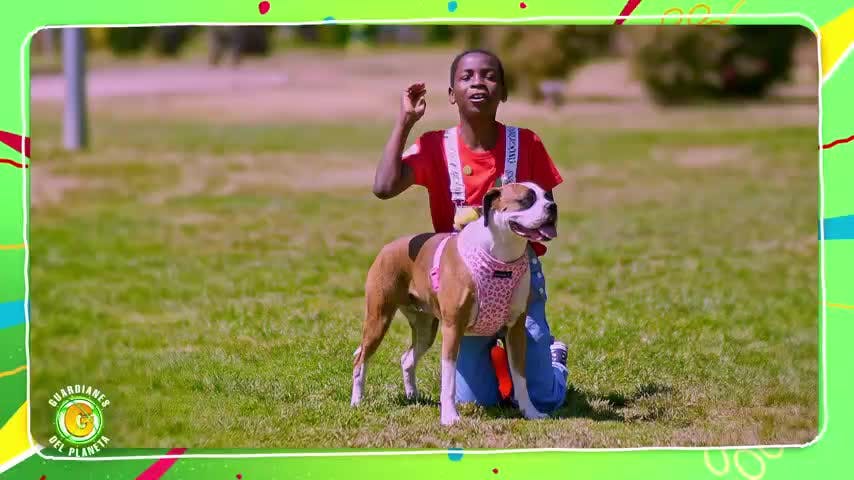 ¿A qué velocidad corren los perros? | Guardianes del Planeta T1E1