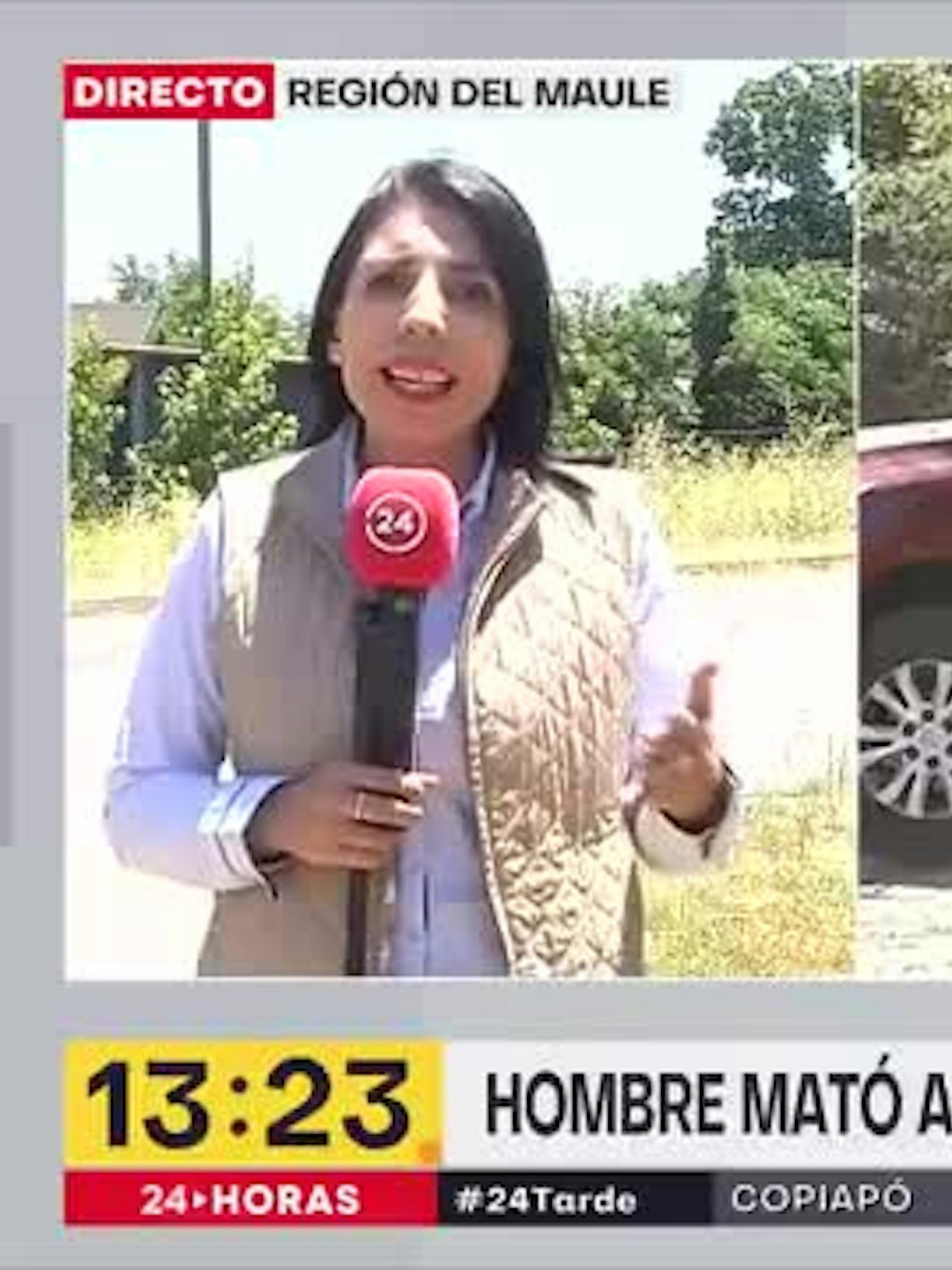 Un femicidio y 3 homicidios relacionados a móviles sentimentales en Retiro y Maule