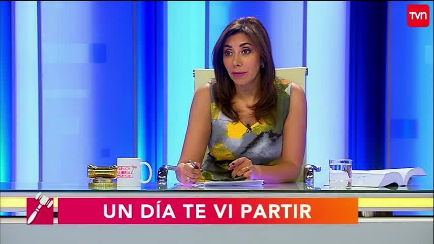 Un día te vi partir | Carmen Gloria a tu servicio