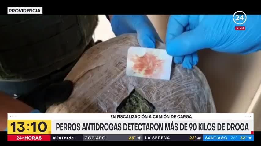 24 Tarde - Viernes 13 de enero