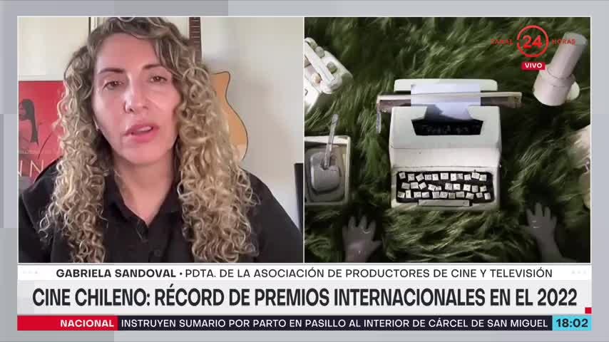 Presidenta de la Asociación de Productores de Cine y Televisión: