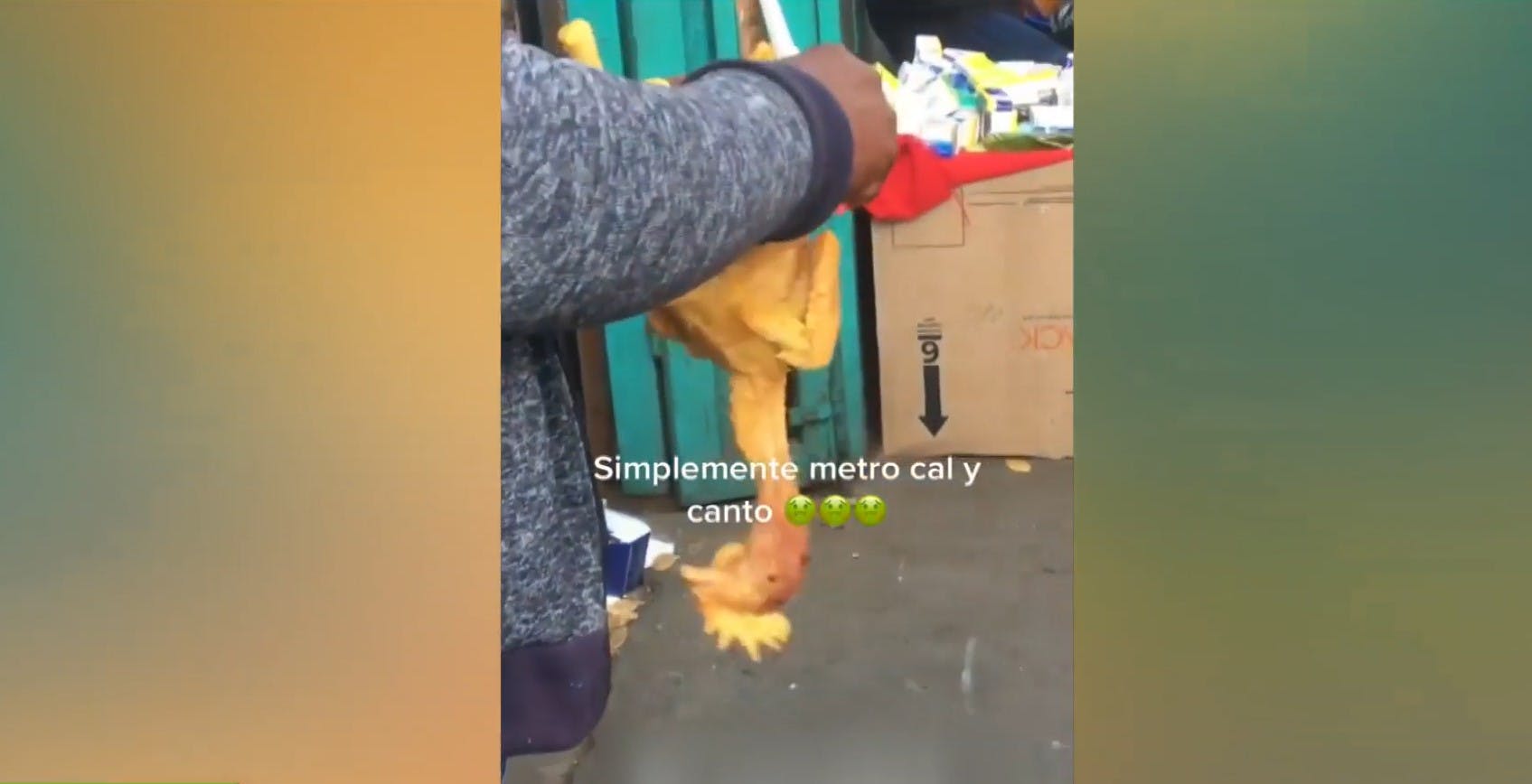 Sin palabras: Faenan y venden pollos en plena calle de Santiago