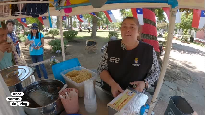 La ciudad más calurosa de Chile: ¿Por qué a los chillanejos les gusta vivir en Chillán?