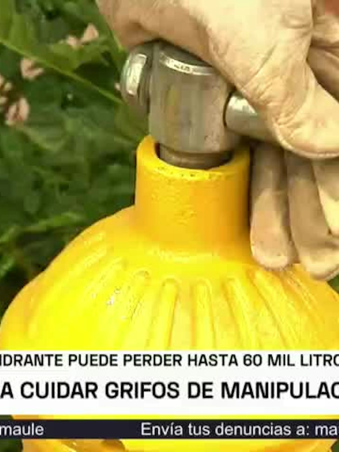 Piden cuidar grifos de manipulación imprudente