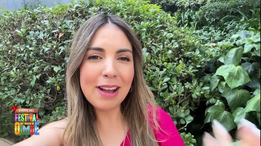 El diario de Olmué: Día 0