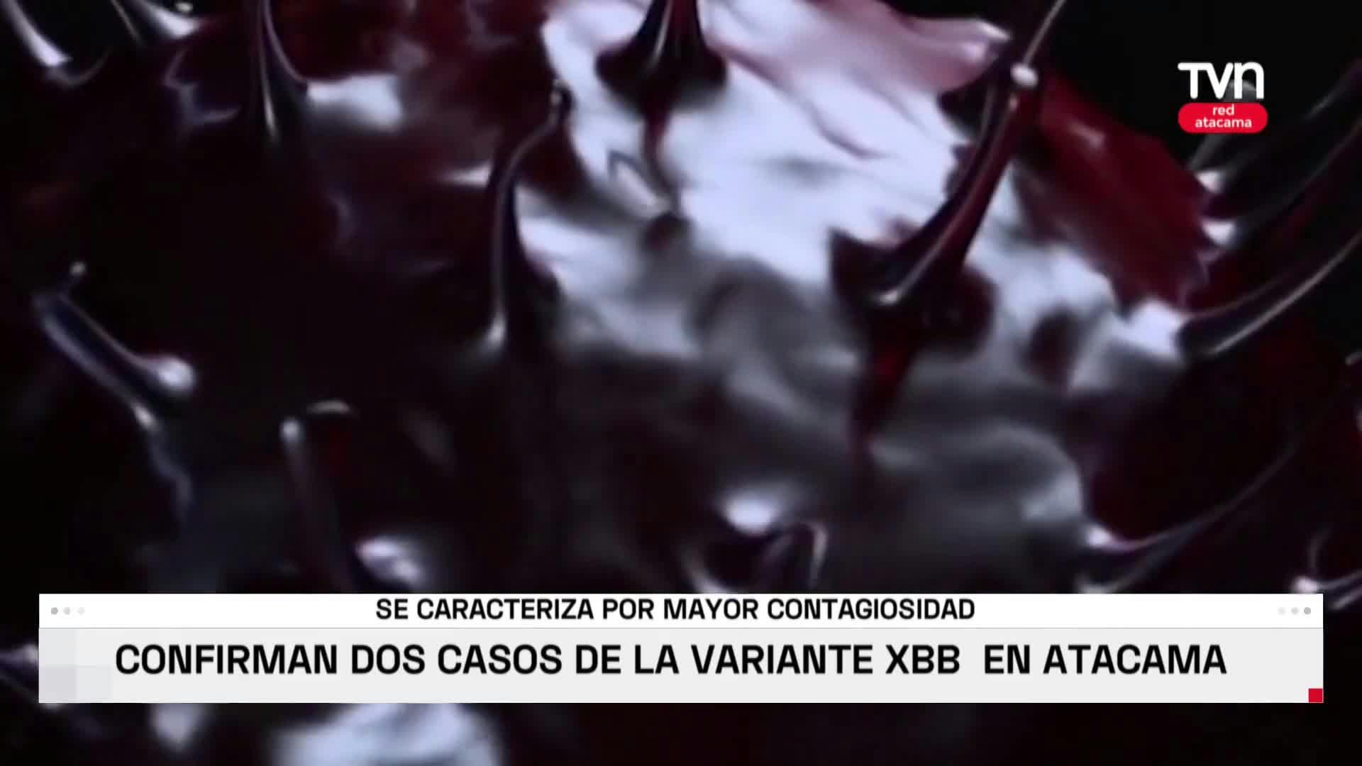 Confirman dos casos de la variante XBB en Atacama