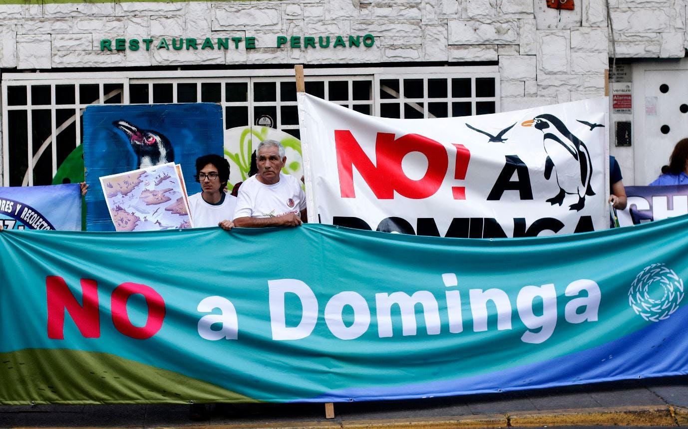 Krist Narajo, gobernadora de Coquimbo, por Dominga: El desarrollo debe ser sustentable