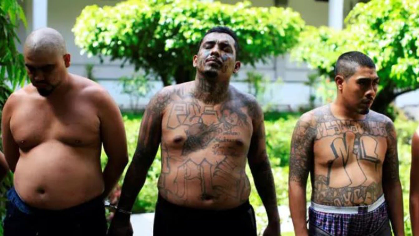 Investigadora y preocupación por 'Las Maras': Tenemos elementos necesarios para enfrentarlos