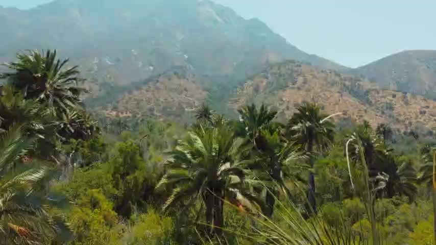 NTV Aventuras en 5 minutos Capítulo 4: El Palmar de Ocoa del Parque Nacional La Campana