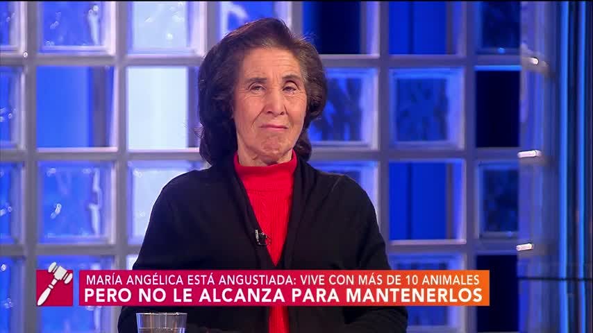 Con amor... pero sin fuerzas | Carmen Gloria a tu servicio 