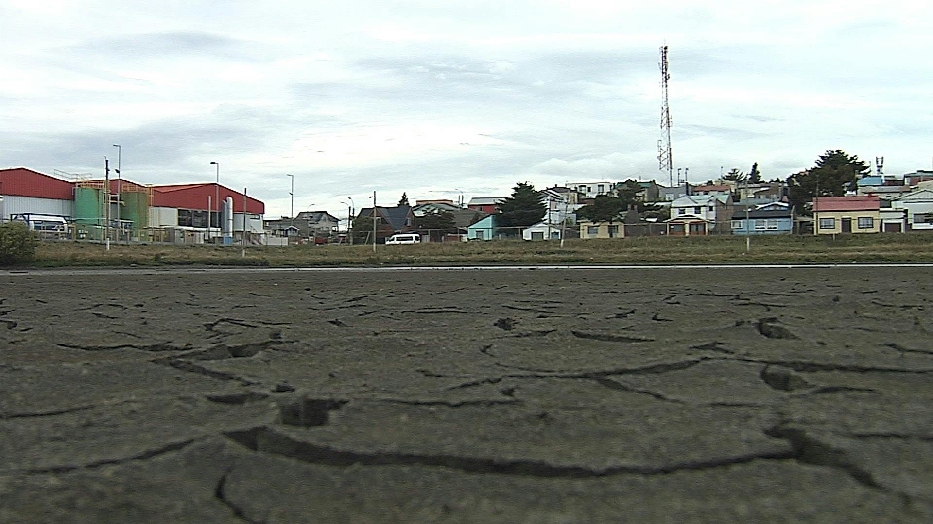 Se busca preservar humedales de Punta Arenas