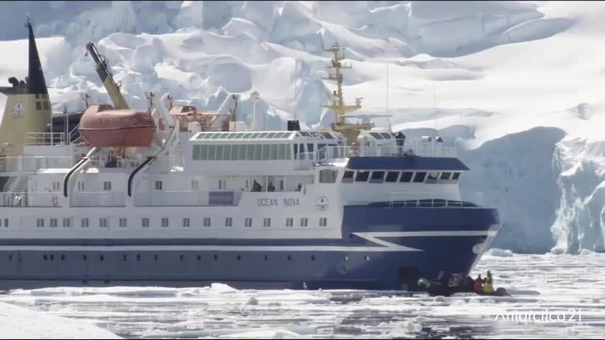 Concurso sortea viaje todo incluído a la Antártica
