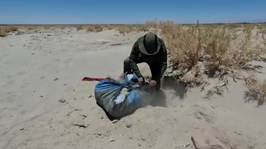 Enterrada en pleno desierto Carabineros descubrió 170 kilos de droga