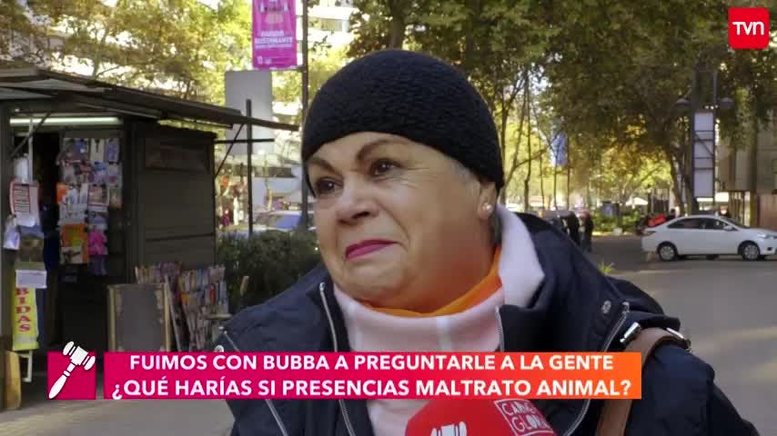 ¿Así cuidamos al mejor amigo del hombre? | Carmen Gloria a tu servicio