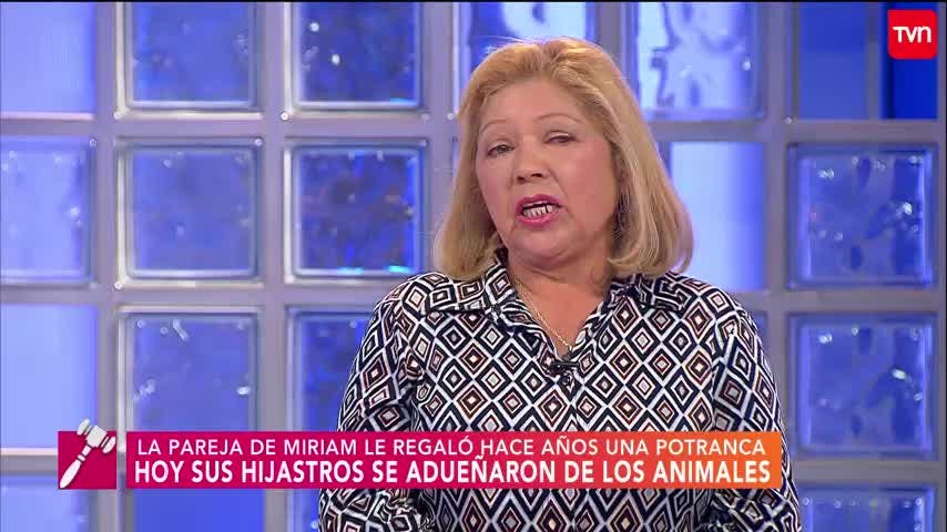 Ya nada queda | Carmen Gloria a tu servicio