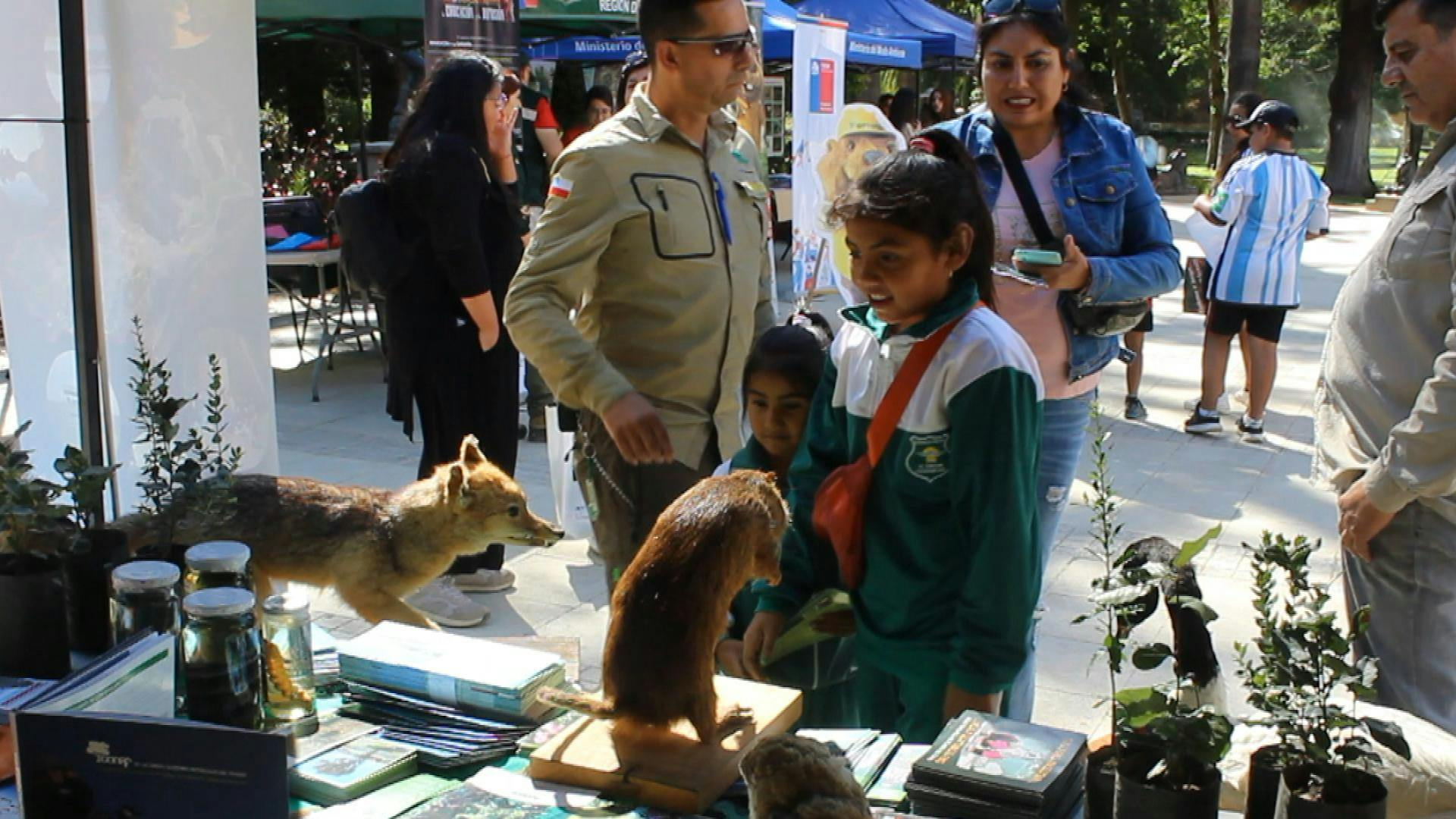 Niños participaron en feria ambiental en la Quinta Vergara