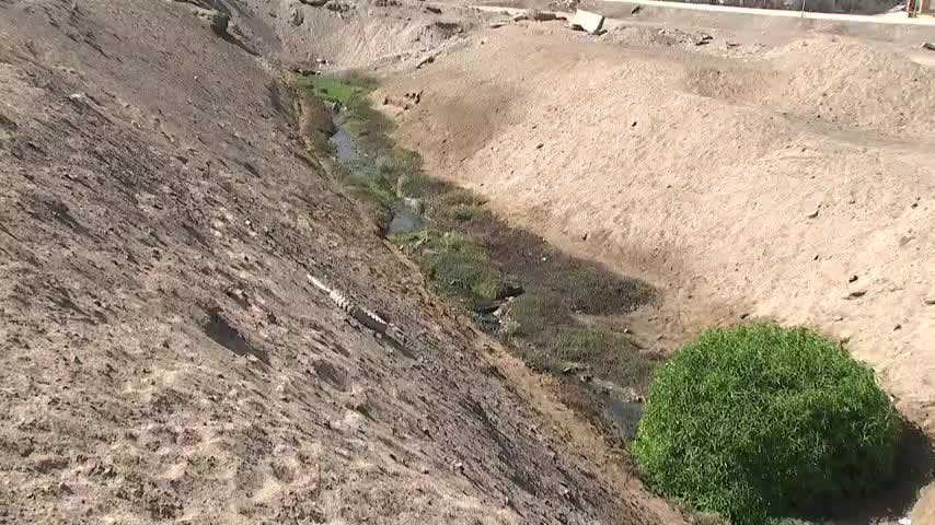 Nuevo humedal Urbano 