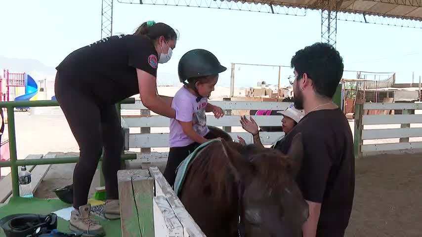 Terapias de rehabilitación y desarrollo con caballos