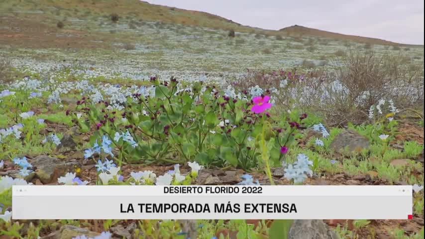 Positivo balance al desierto florido 2022