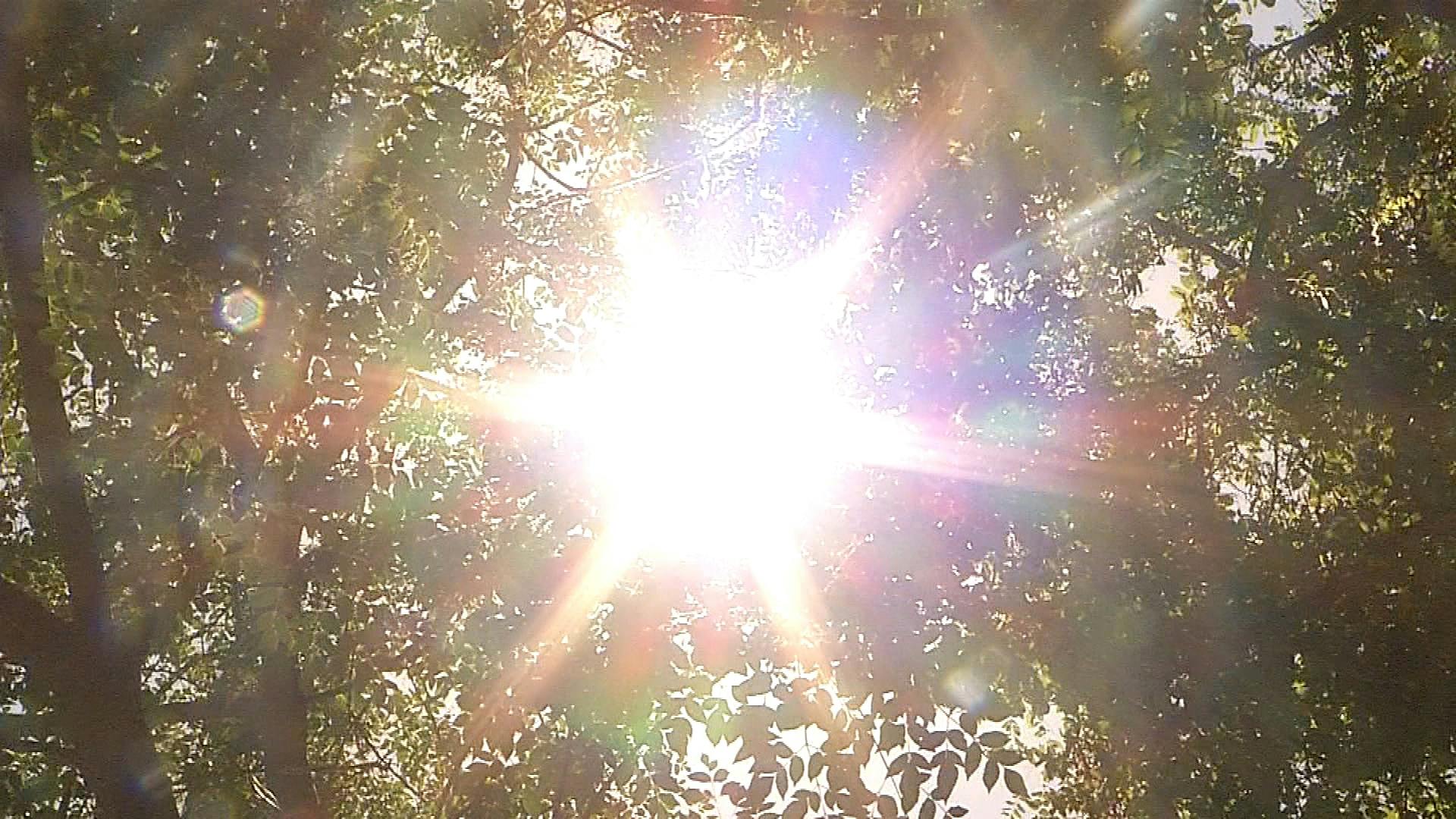Forestales suspenden faenas por calor
