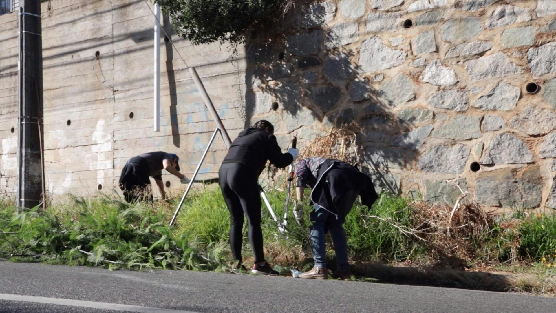Vecinos de Valparaíso tomaron medidas preventivas contra incendios forestales