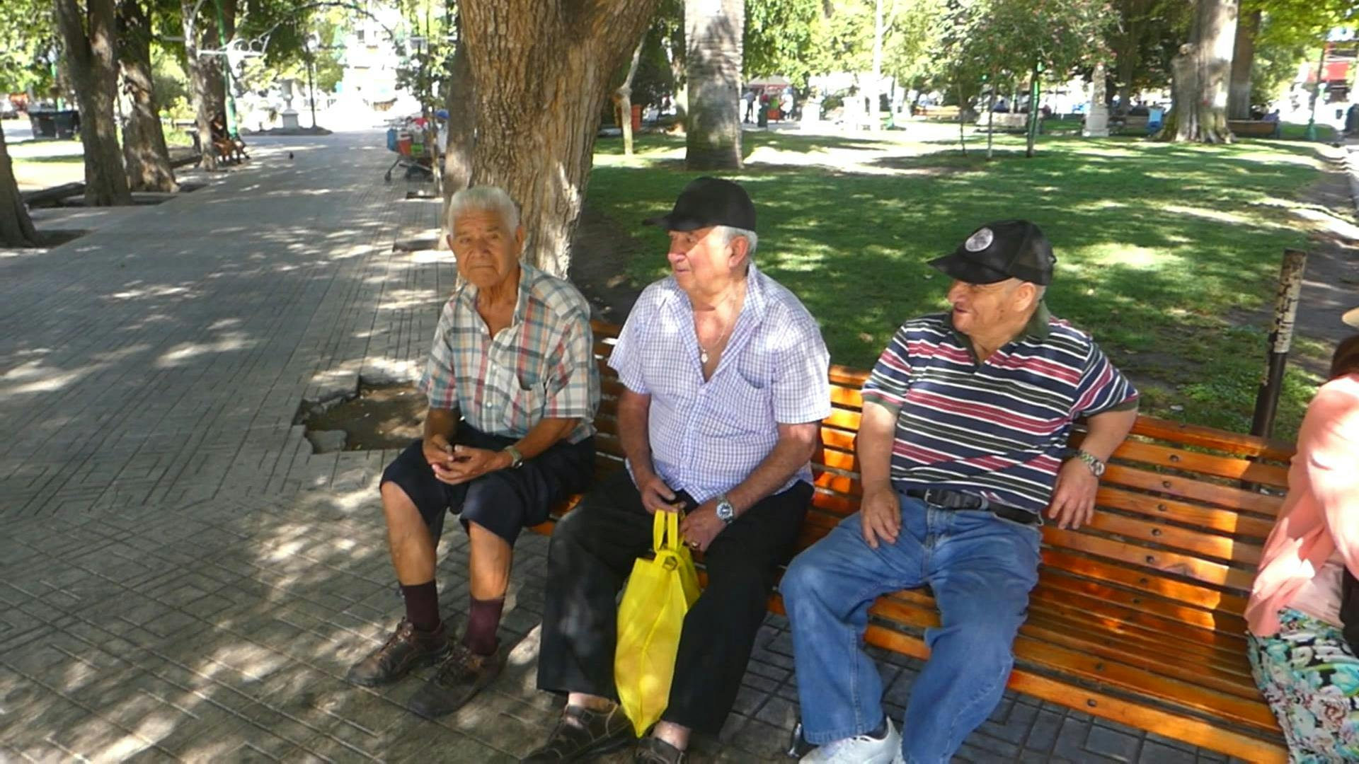 39 grados a la sombra se registraron en las comunas de San Felipe y Los Andes