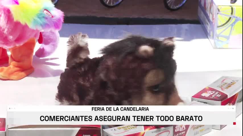 Feria candelaria