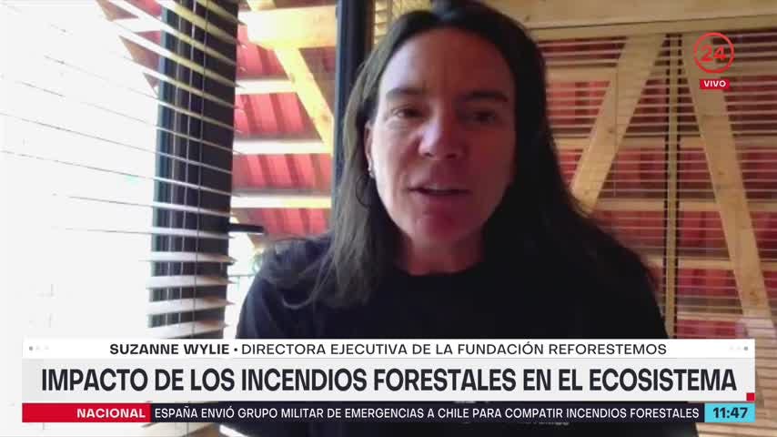 Directora ejecutiva de Fundación Reforestemos: Ver este nivel de destrucción es doloroso