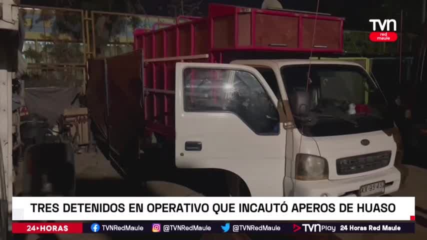 Operativo policial permite recuperar cientos de aperos de huaso en Linares