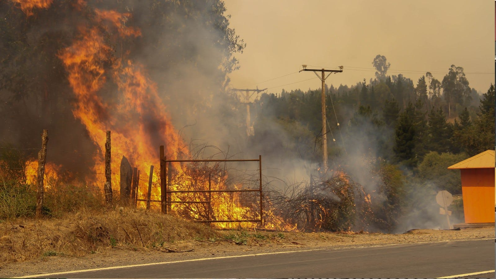 Alcalde de Nacimiento por incendios forestales: Parece que nuestra comuna fue bombardeada