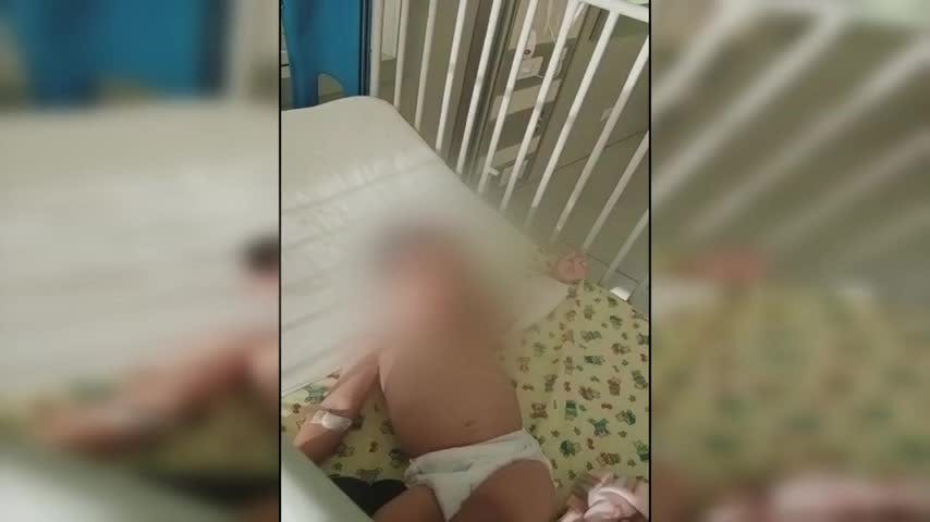 Niño quedo con lesiones graves tras ataque de perro.