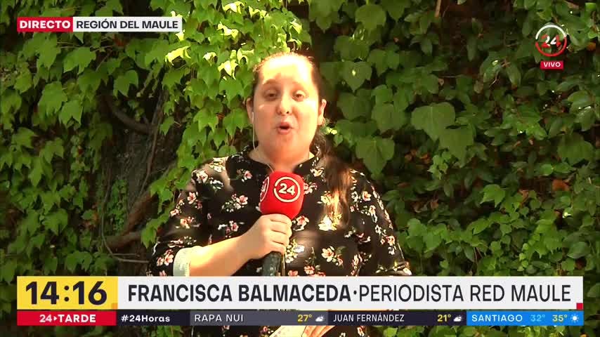 Diversas actividades para disfrutar en familia