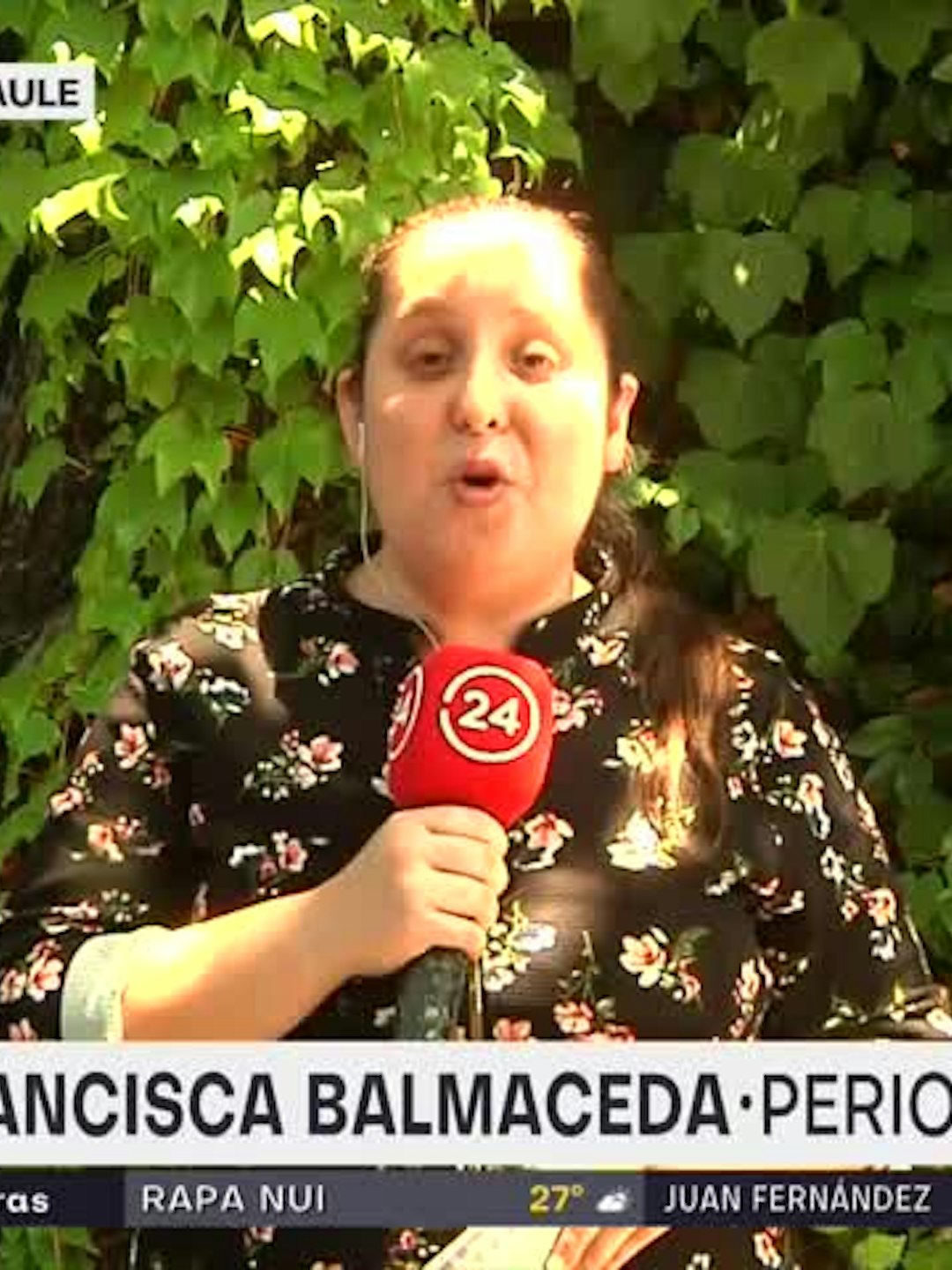 Diversas actividades para disfrutar en familia