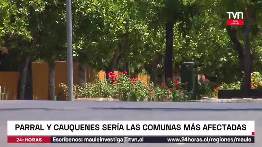 Ola de calor alcanzaría los 40 grados en el Maule Sur.