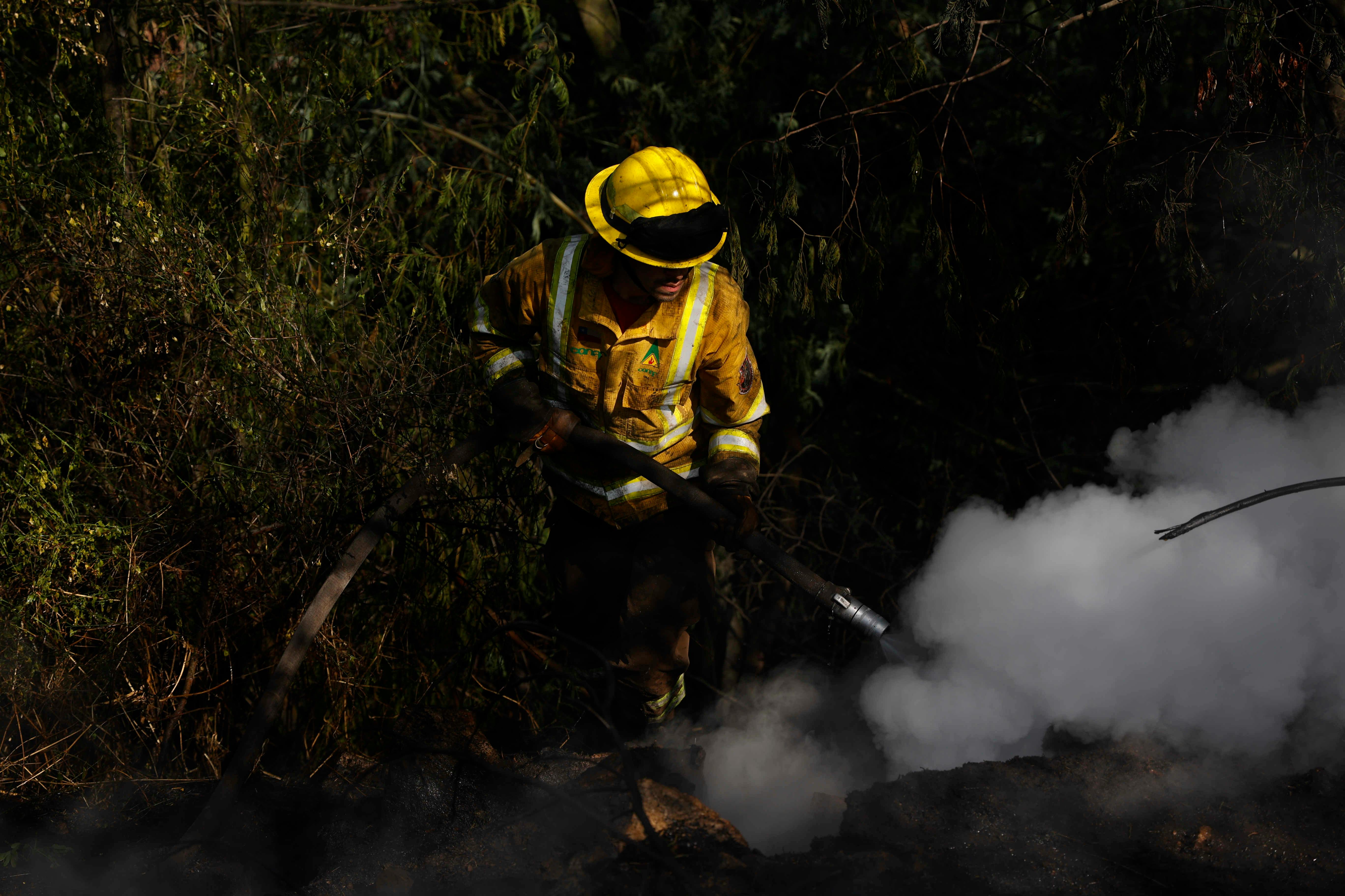 Ministra Toro por incendios forestales: En el caso de que se identifique intencionalidad, el Gobierno va a querellarse