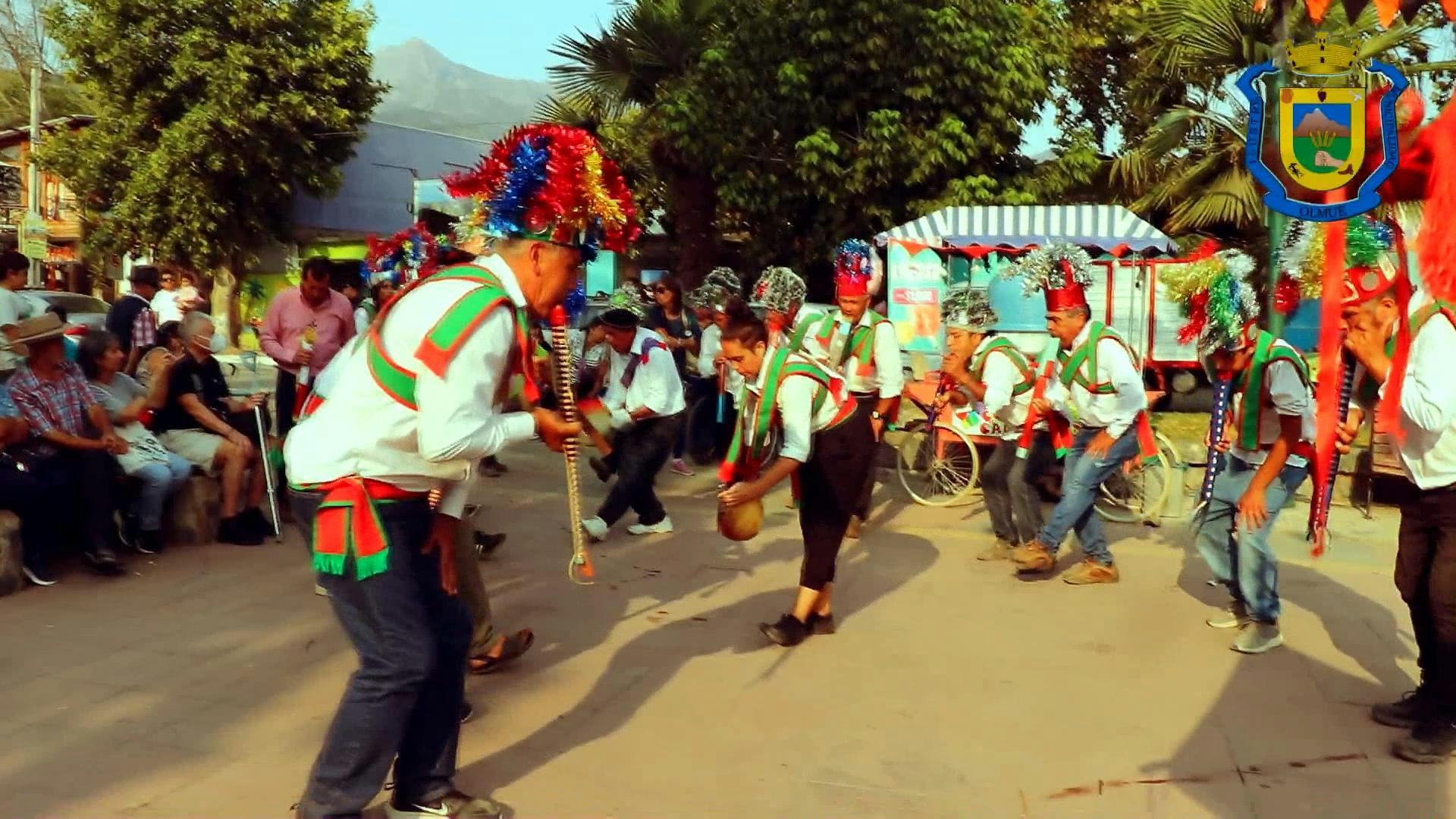 Olmué homenajea a la Virgen de Lourdes con un encuentro de bailes chinos