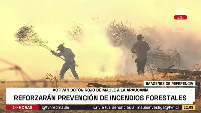 Activan botón rojo de Maule a la Araucanía