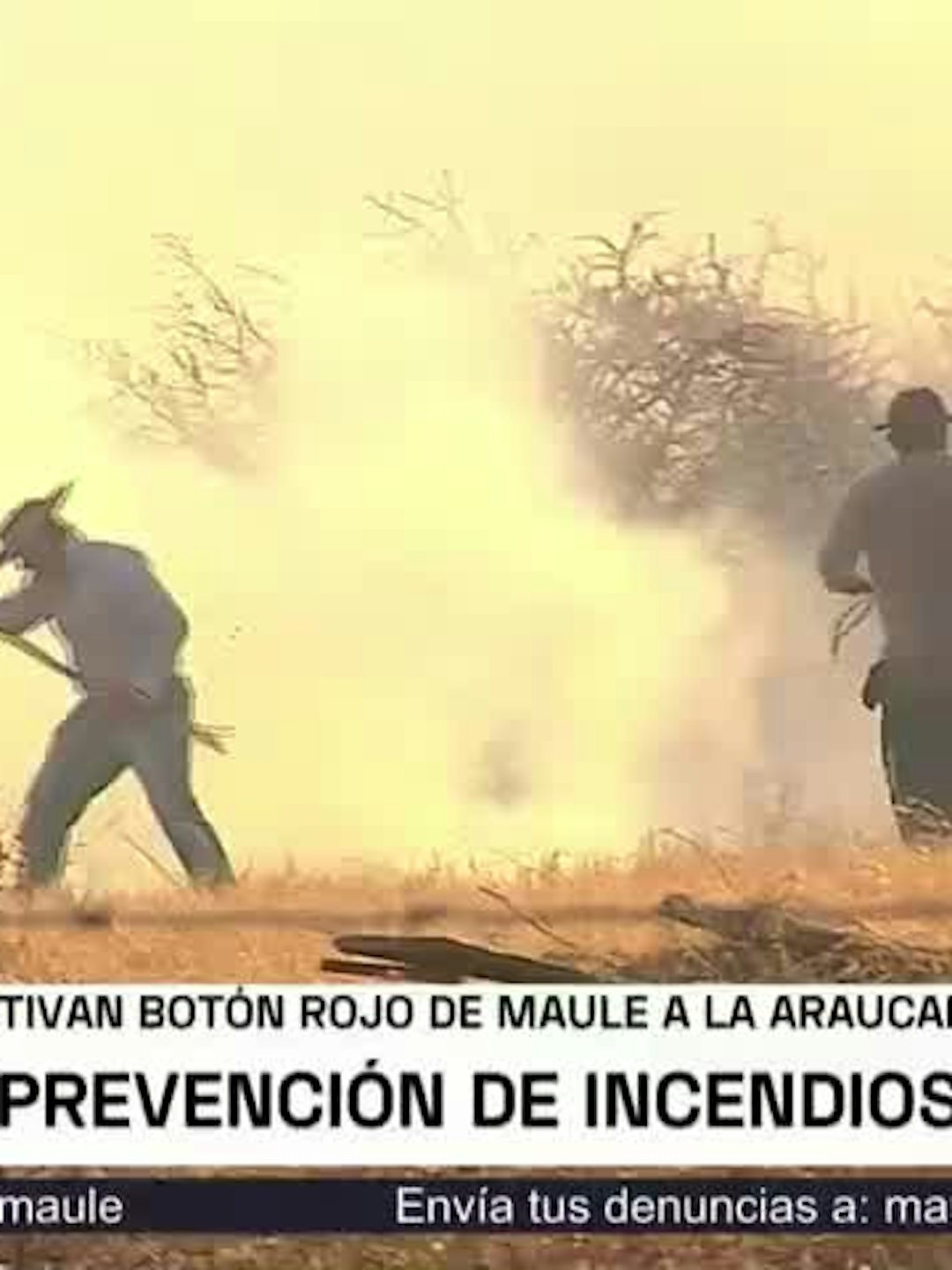 Activan botón rojo de Maule a la Araucanía