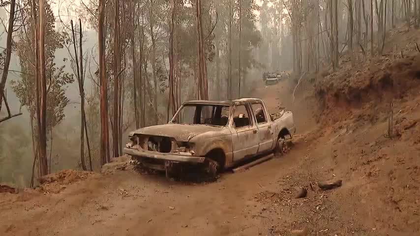 21 incendios siguen en combate en la Región del Biobío