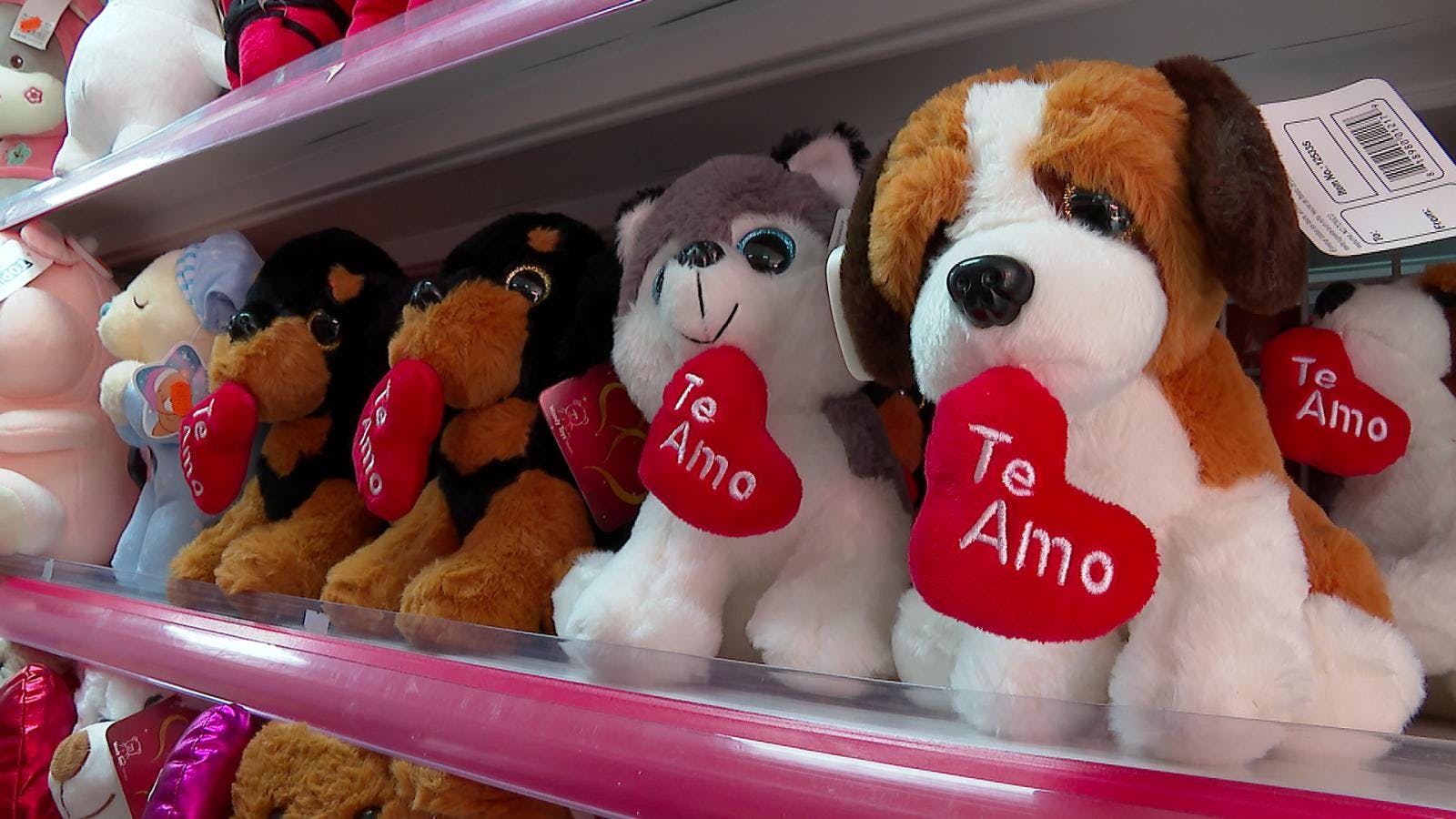 Día de San Valentín.