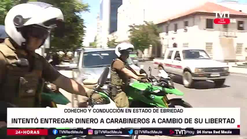 Sintesis - Miércoles 01 de febrero 2023 | TVNRedMaule